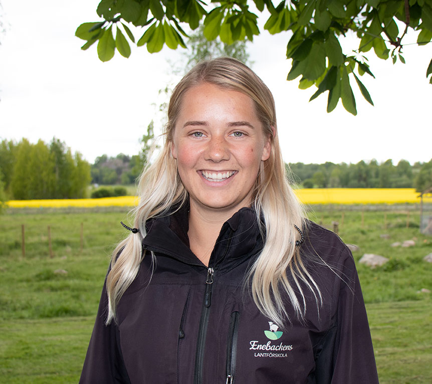 my_lindgren_winterot_low